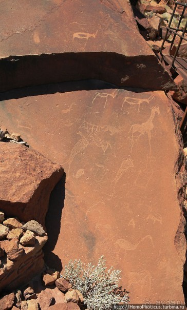 Тропой человека-льва