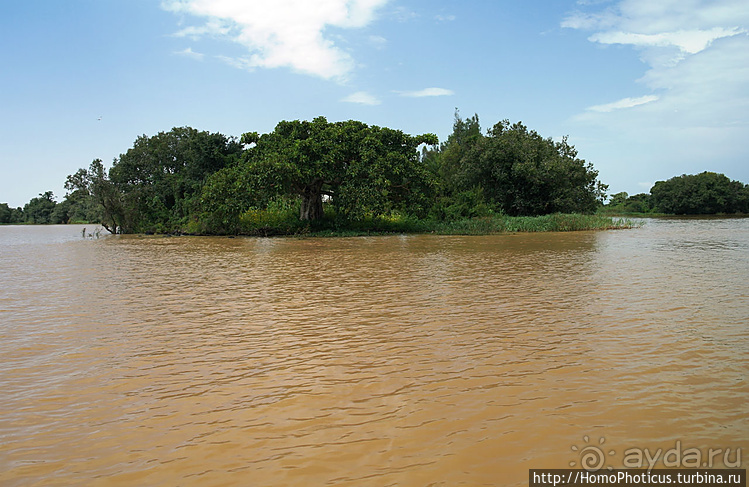 Абиссинские хроники. I. Два мегаполиса