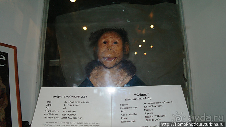 Абиссинские хроники. I. Два мегаполиса