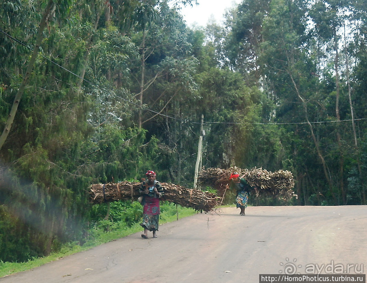 Абиссинские хроники. I. Два мегаполиса