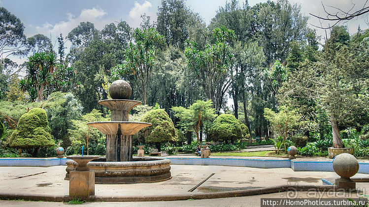 Абиссинские хроники. I. Два мегаполиса