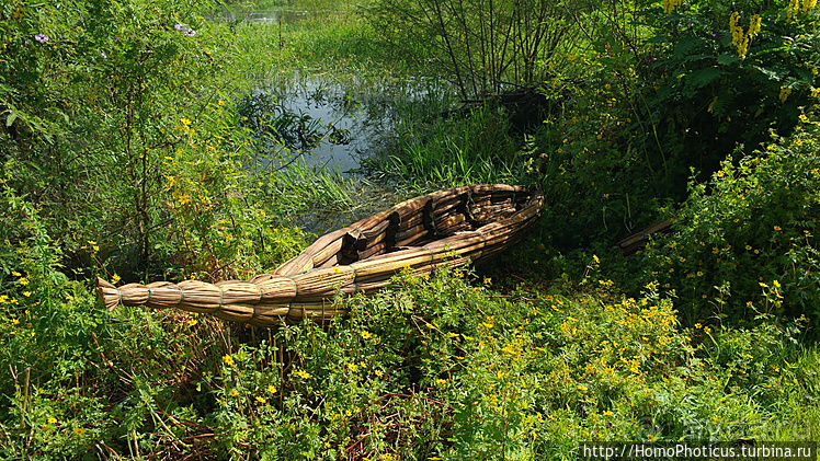 Абиссинские хроники. I. Два мегаполиса