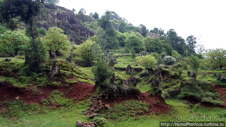Абиссинские хроники. I. Два мегаполиса
