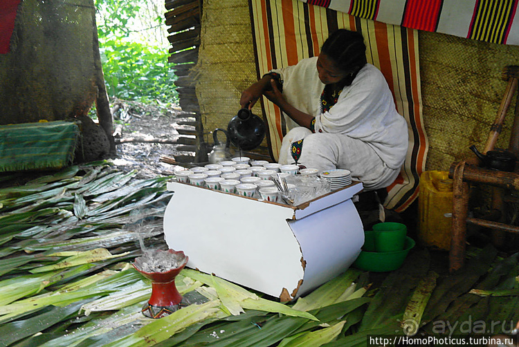 Абиссинские хроники. I. Два мегаполиса