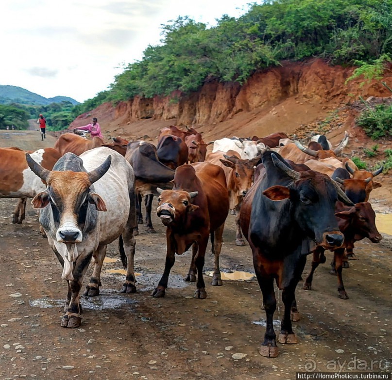 География рифтовой долины: земля консо