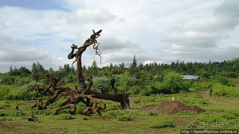 География рифтовой долины: земля консо