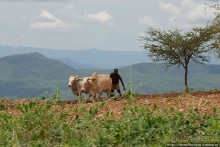 География рифтовой долины: земля консо