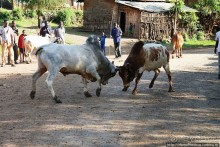 География рифтовой долины: земля консо