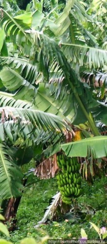 География рифтовой долины: земля консо