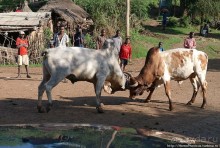 География рифтовой долины: земля консо