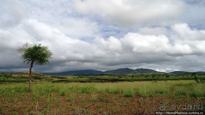 География рифтовой долины: земля консо