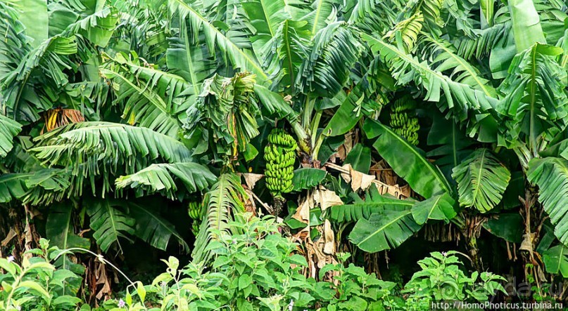 География рифтовой долины: земля консо