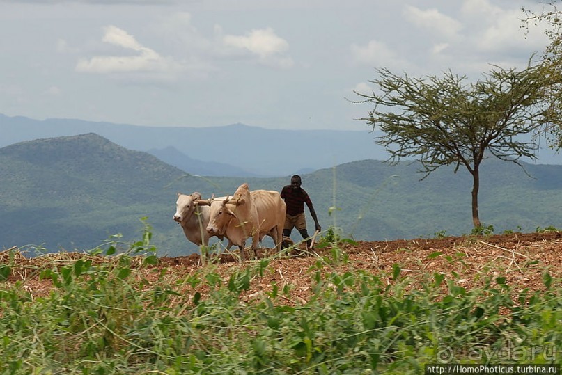 География рифтовой долины: земля консо