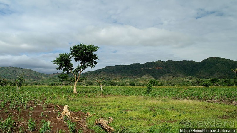 География рифтовой долины: земля консо