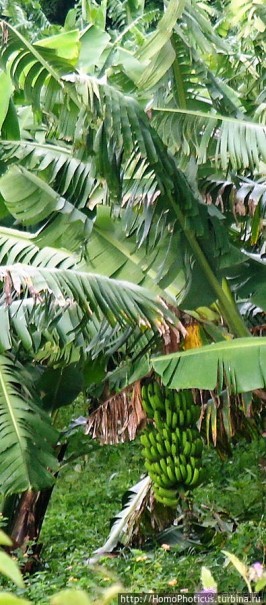 География рифтовой долины: земля консо