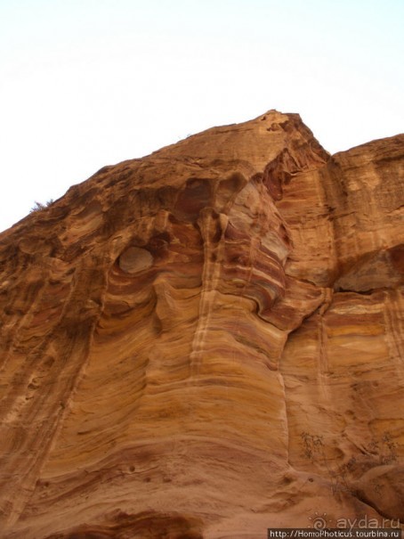 Путь к сокровищнице