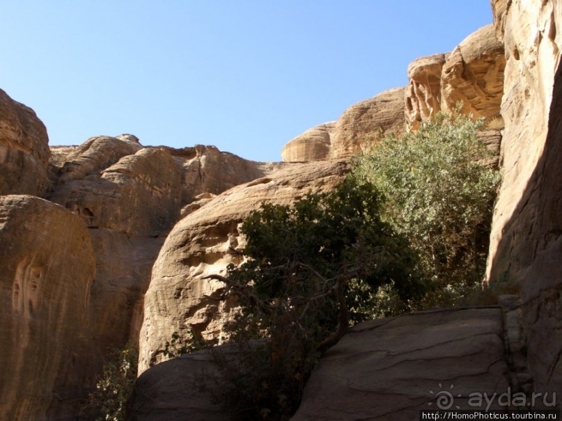 Путь к сокровищнице