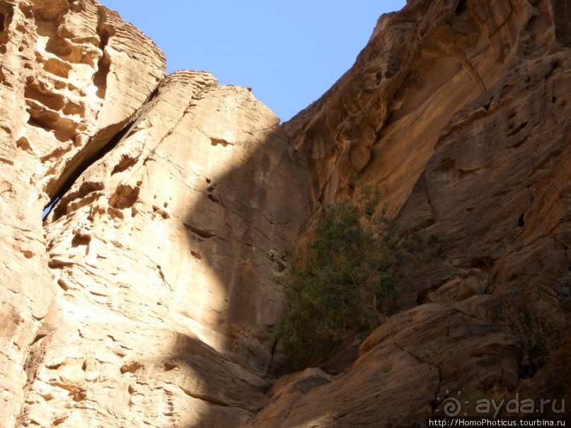 Путь к сокровищнице