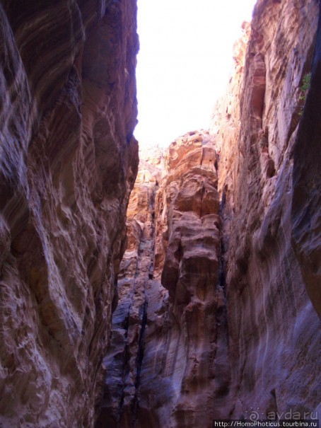 Путь к сокровищнице