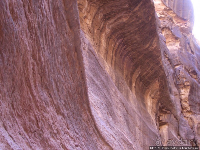 Путь к сокровищнице