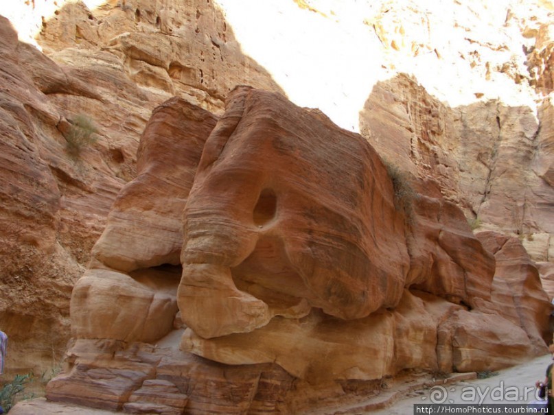 Путь к сокровищнице