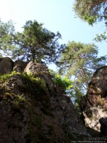 Зима и лето в Выборге