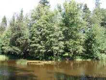 Зима и лето в Выборге
