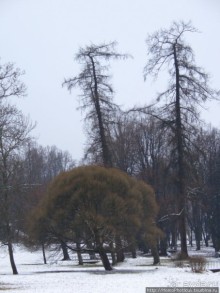 Зима и лето в Выборге