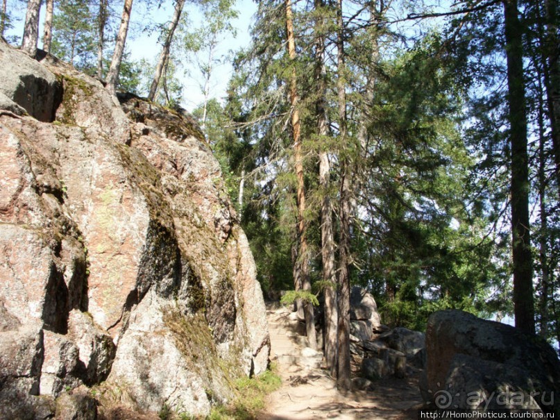 Зима и лето в Выборге