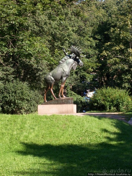 Зима и лето в Выборге