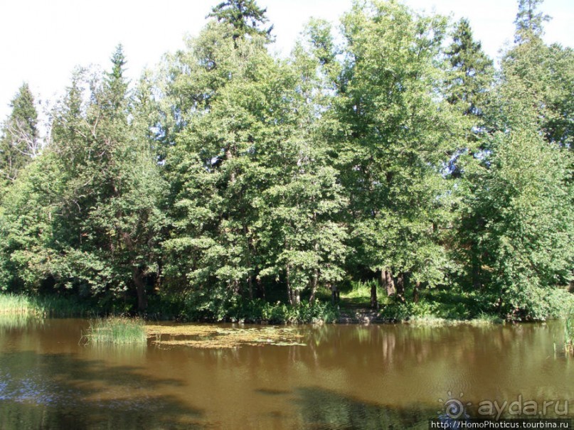 Зима и лето в Выборге