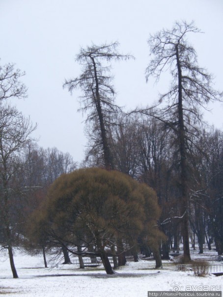 Зима и лето в Выборге
