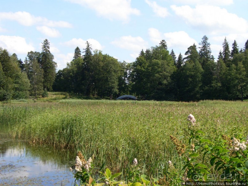 Зима и лето в Выборге