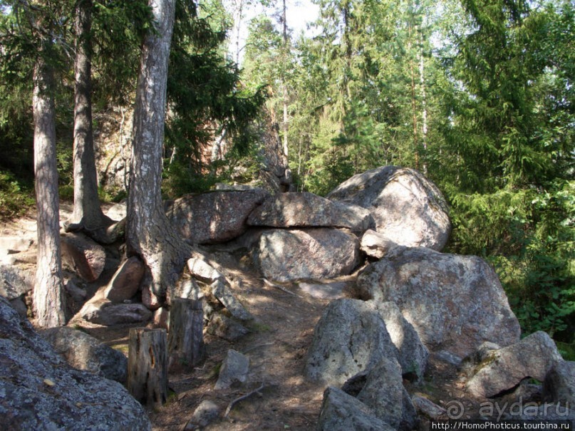 Зима и лето в Выборге