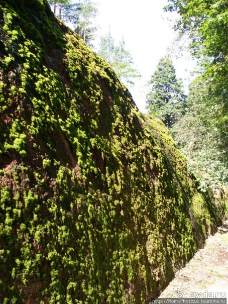 Зима и лето в Выборге