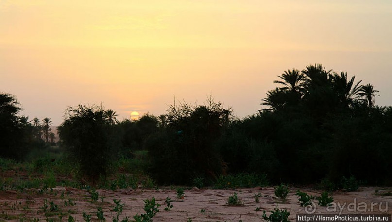 Два источника возле глаза Сахары