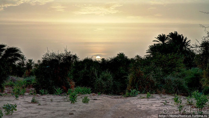 Два источника возле глаза Сахары