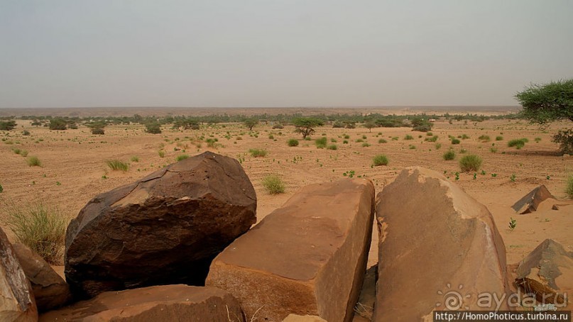 Два источника возле глаза Сахары
