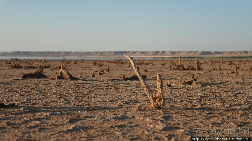 На берегу озера мира