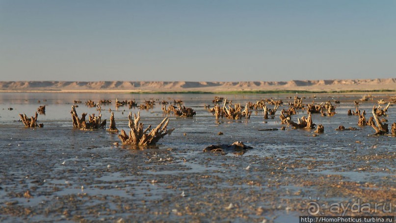 На берегу озера мира