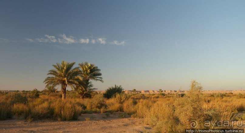 На берегу озера мира