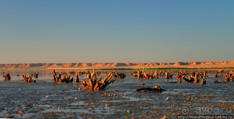 На берегу озера мира