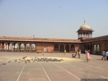 Шедевры без трущоб