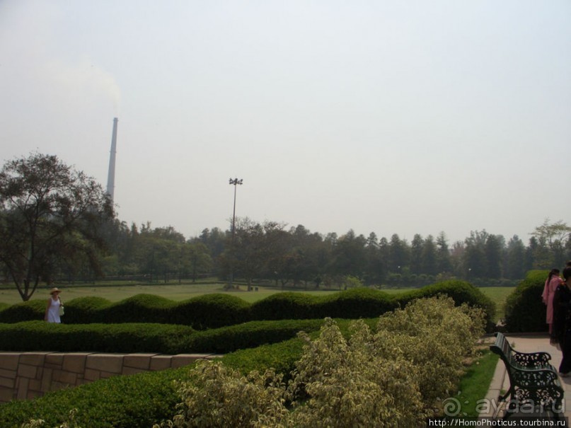 Шедевры без трущоб