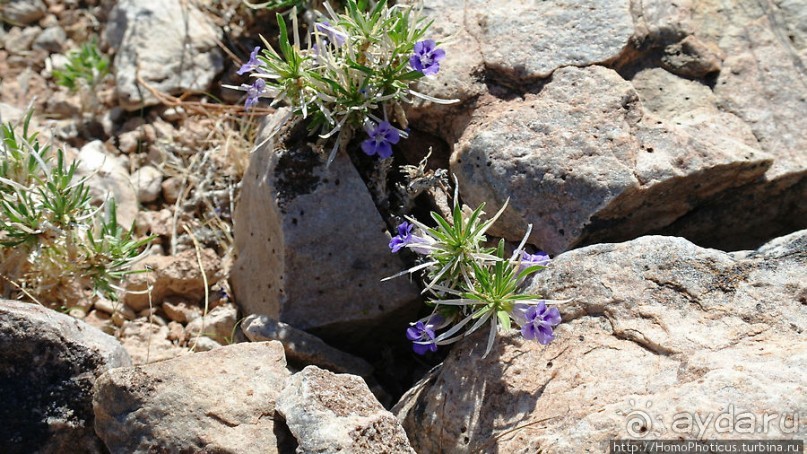 Древнейший каньон рыбной реки