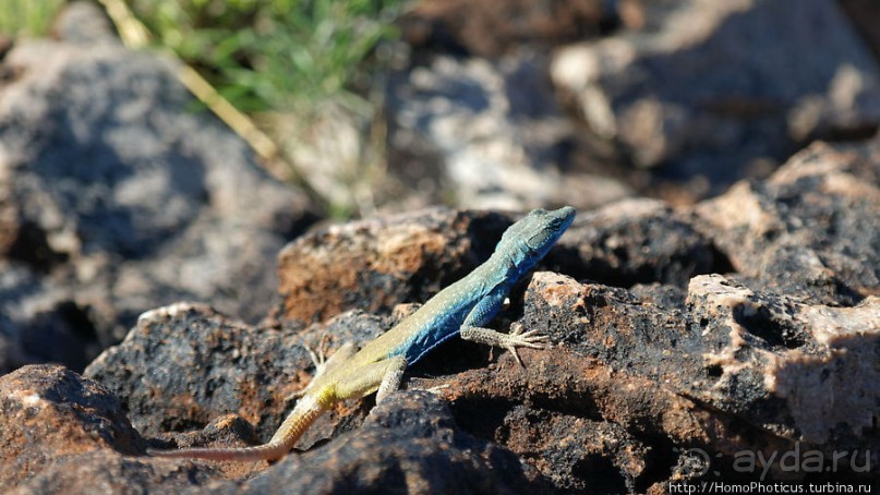 Древнейший каньон рыбной реки