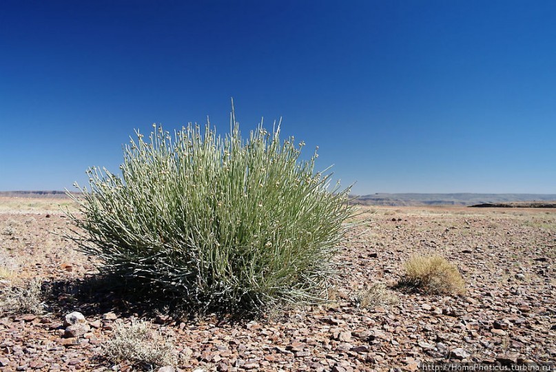 Древнейший каньон рыбной реки