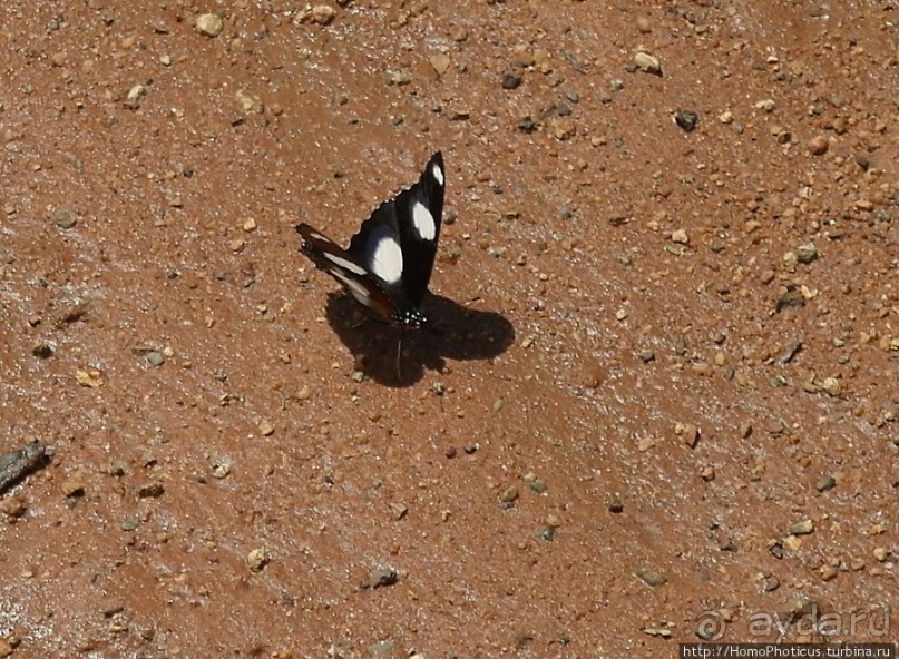 Ветреный угол