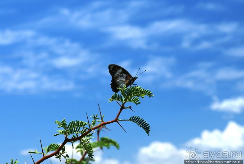 Ветреный угол