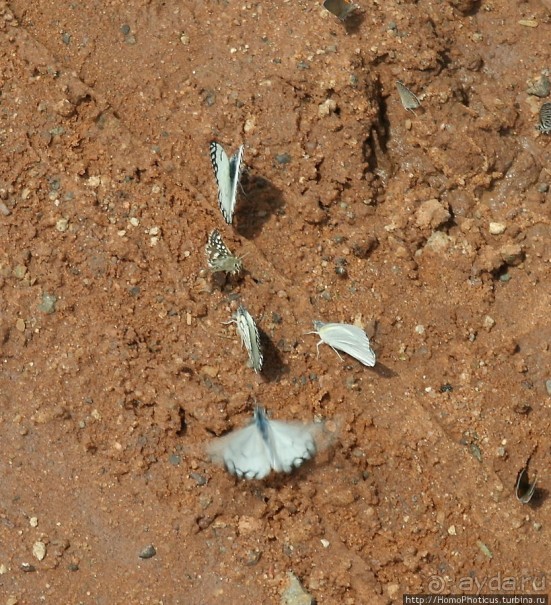 Ветреный угол